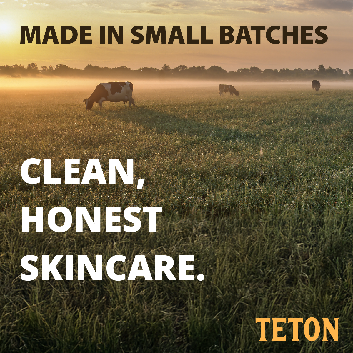 Teton Tallow Lip Balm – Grass-Fed Tallow with Jojoba, Beeswax, Vitamin E & Tangerine – Hydrating Lip Balm 3 Pack (10ml Kraft Tubes)