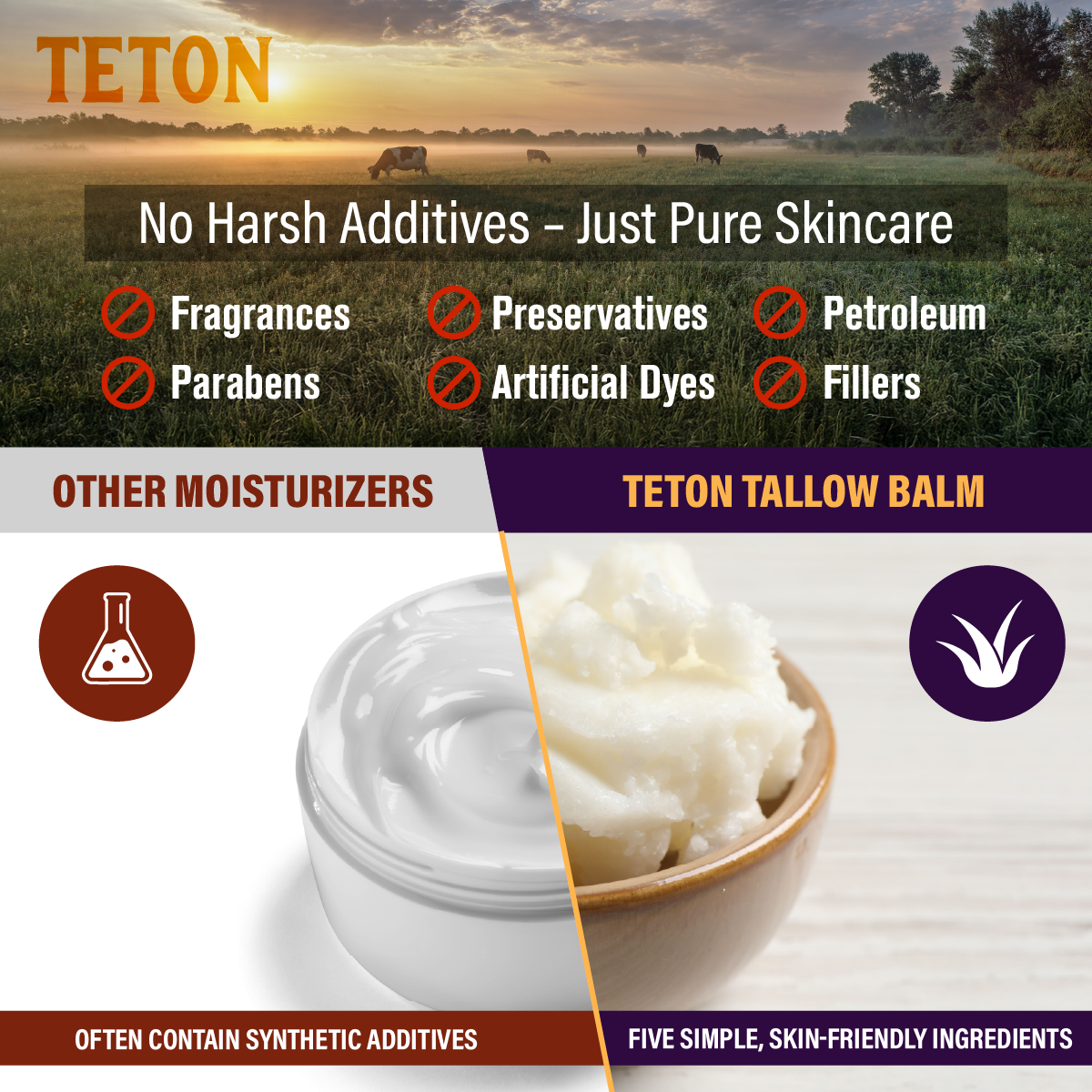 Teton Grass-Fed Tallow Night Cream – Hydrating Overnight Moisturizer with Chamomile & Lavender (50ml)